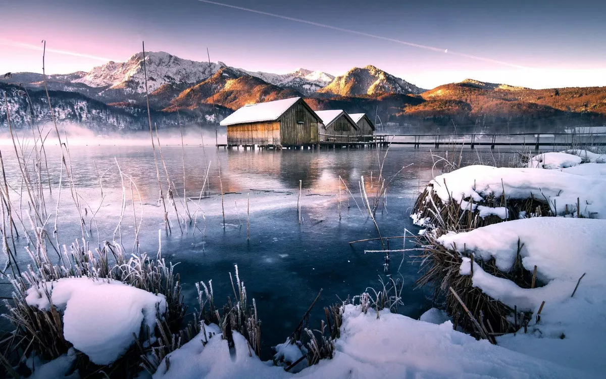 96855.webp