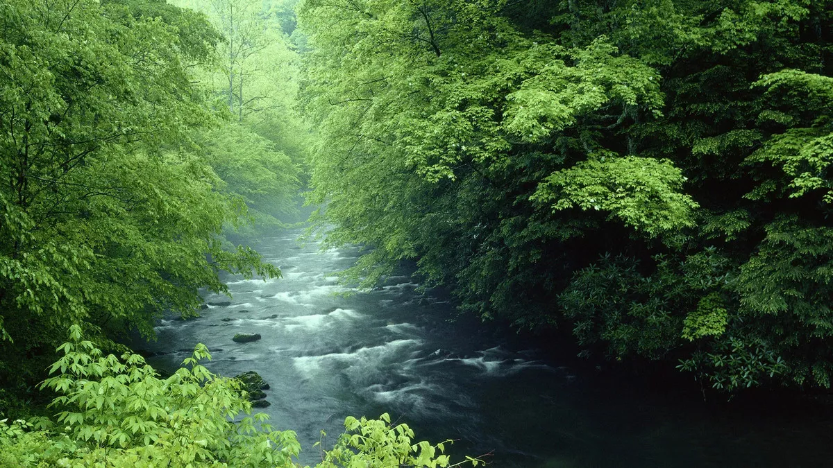 1424849071158.webp