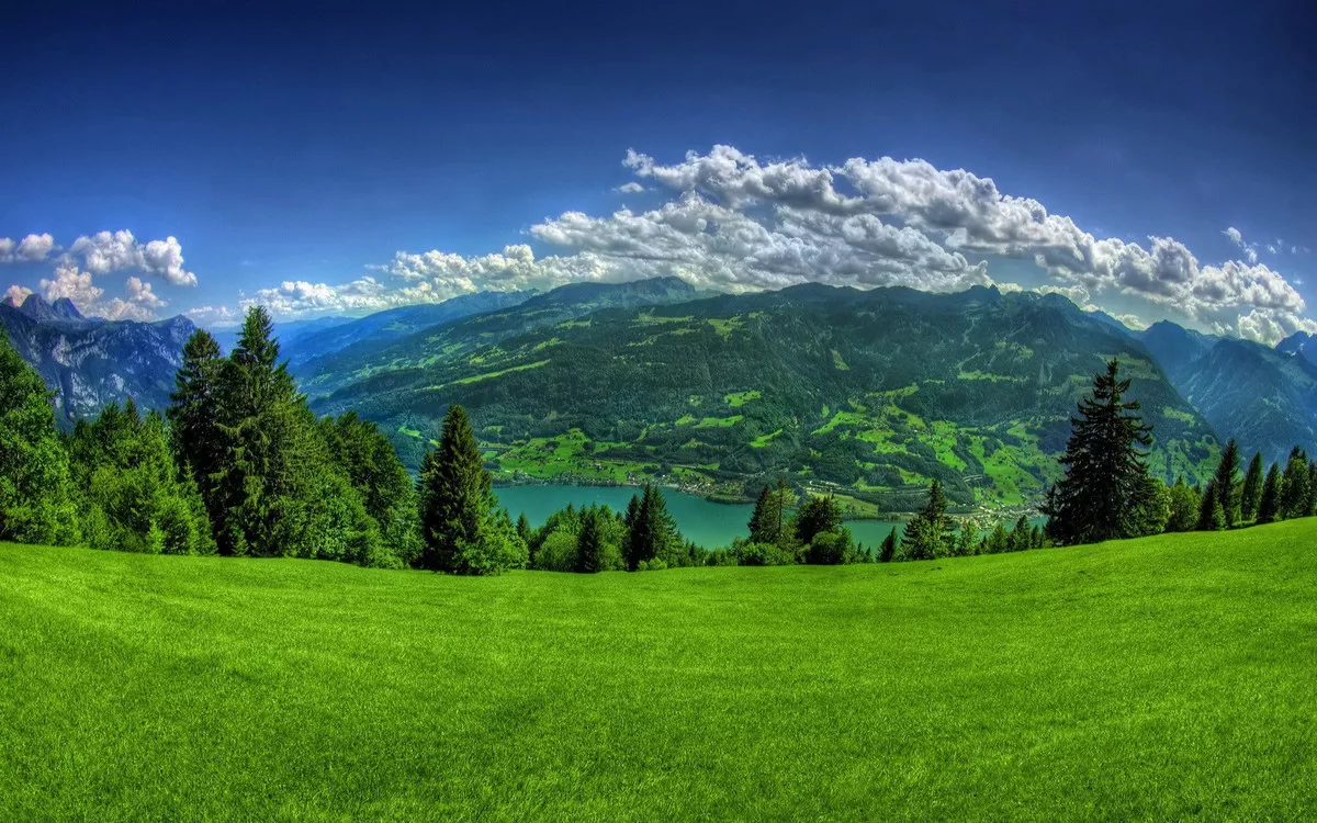 1347198985152.webp
